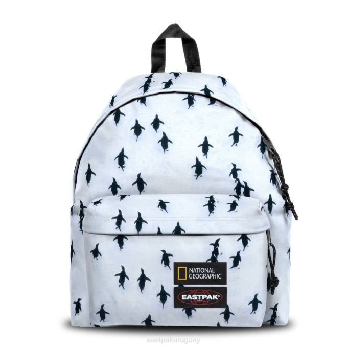 Eastpak mochilasR42B7 pak'r acolchado ng peng uin