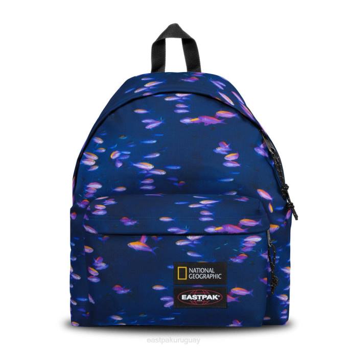 Eastpak mochilasR42B8 pak'r acolchado pescado